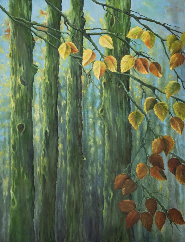 Höstbokskog närbild