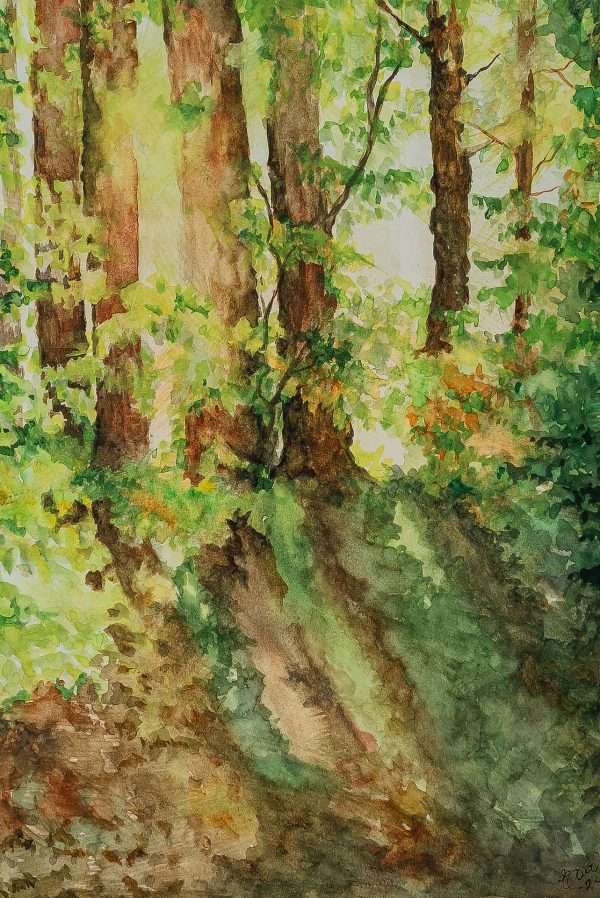Grön bokskog